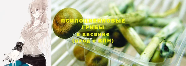 прущий лед Рославль