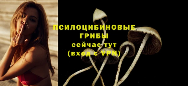 ECSTASY Ростов