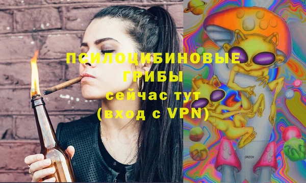 спиды Абаза
