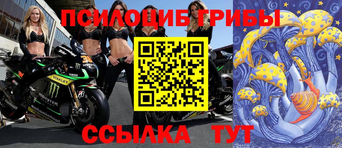 Галлюциногенные грибы Magic Shrooms  Вход с VPN  Заволжье 