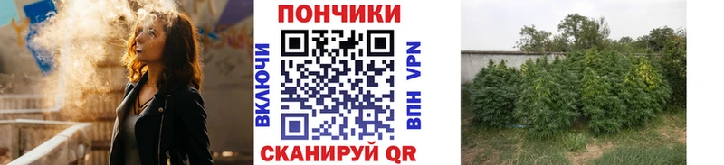 Каннабис White Widow  наркошоп  Заволжье 