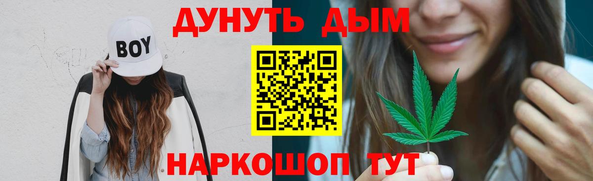 Канабис сатива Заволжье
